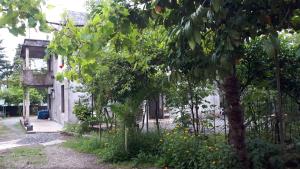 Zahrada ubytování Apartment MaxinJauri