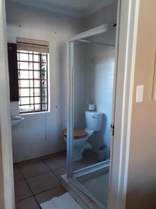 ein Bad mit einem WC und einem Fenster in der Unterkunft Tourist Lodge Gansbaai in Gansbaai