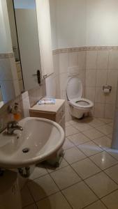 un baño con lavabo e inodoro en Ferienwohnung-Bullendorf, en Bullendorf 10 fotos más