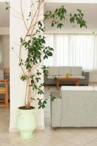 Posezení v ubytování Ageri Hotel
