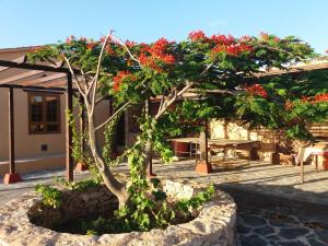 En have udenfor Villa La Vista de Tefia