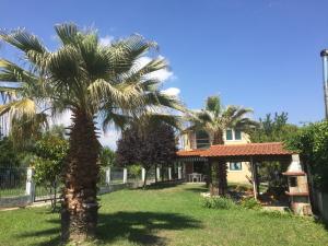 Fotografie z fotogalerie ubytování Vacation Home Eva v destinaci Nea Kallikratia
