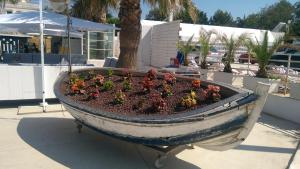 a planter filled with flowers in a boat at B&B Sottocoperta in Bisceglie