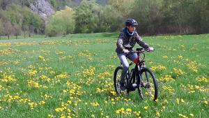 Radfahren an der Unterkunft ANETSEDER Landhotel & Lofts oder in der Nähe