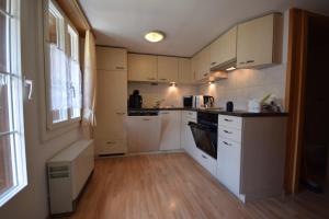 Kuchyň nebo kuchyňský kout v ubytování Chalet Bim Chilchli