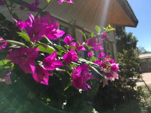 Zahrada ubytování Champs Yazuh B&B