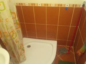 ein Badezimmer mit Toilette und Wischmopp in der Unterkunft Studio Pinos in Sokobanja