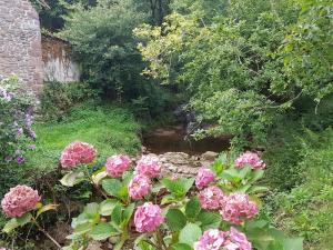Un jardín con flores rosas y un arroyo. en Martikotenea I & II, en Errazu