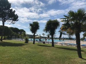 um parque com palmeiras e uma piscina em Domaine de Bordaberry em Urrugne