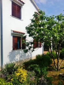 Zahrada ubytování Apartman Simunic Omisalj