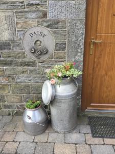 two large buckets with flowers in them next to a door at Lazy Daisys in Langsett