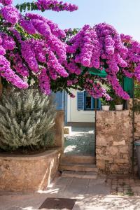 a bunch of purple flowers hanging from a building at Apartments Relax in Veli Lošinj