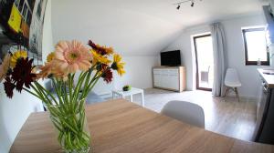 Televízia a/alebo spoločenská miestnosť v ubytovaní Apartamenty Karkonoskie