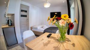 Kuchyňa alebo kuchynka v ubytovaní Apartamenty Karkonoskie