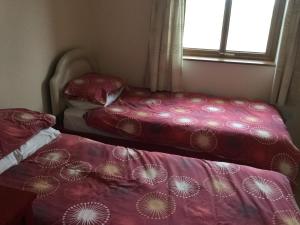 two beds sitting next to a window in a bedroom at Lazy Daisys in Langsett