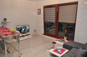 a living room with a couch and a television at Gdańsk-Apartament Jaglana Spa in Gdańsk