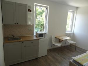 a small kitchen with a sink and a microwave at Apartmány Starovice in Starovice