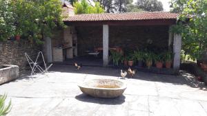 a group of cats standing in a courtyard with a fountain at Quinta Drº Amarante in Gondomar