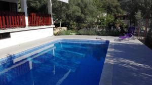 a blue swimming pool with a purple chair in a yard at Holiday Home Vela Luka in Vela Luka