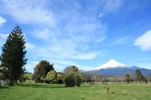 a snow covered mountain in a field with a tree at La Posada del Colono in Puerto Clocker