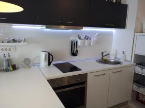una cucina con lavandino e piano di lavoro di New Studio Apartment Sun a Zagabria