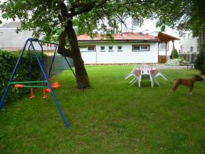 a dog standing in a yard with a swing at Villa Plischke in Lipova Lazne