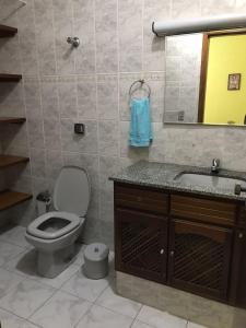 uma casa de banho com um WC, um lavatório e um espelho. em Pousada Santa Lolla em São Carlos