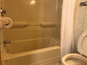 a bathroom with a green tub and a toilet at Capri Motel in North Dartmouth