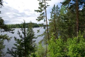 a view of a lake through the trees at Tivoli Cottage in Talviainen