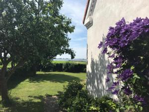 Garður fyrir utan Langø Feriecenter - Sea View +9 myndir