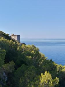 een gebouw bovenop een heuvel naast het water bij Portoselvaggio Villa Martina in Santa Caterina di Nardò