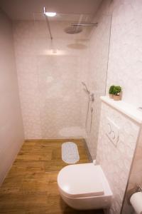 a white bathroom with a toilet and a shower at Studio apartman Ana in Split
