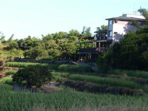 三芝區的住宿－一畝田民宿，草丛中的房子