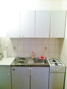 Kuchyň nebo kuchyňský kout v ubytování Apartman Simunic Omisalj