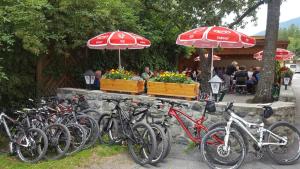 Attività di ciclismo presso la locanda o nelle vicinanze