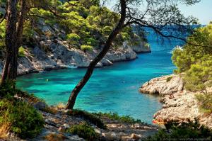a view of a river with blue water and trees at Quintessens in Marseille