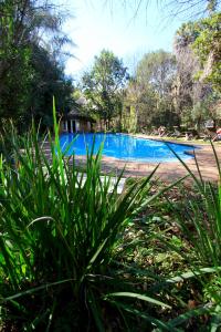 ein blauer Pool mit einigen Pflanzen im Vordergrund in der Unterkunft Melrose Place in Johannesburg