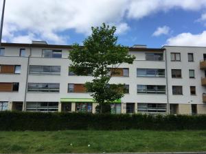 an apartment building with a tree in front of it at Art Apartment Szczecin in Szczecin +7 photos