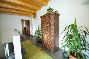 salon z roślinami i drewnianą ścianą w obiekcie Greenhome Appartement w mieście Niedernsill