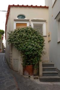 a house with a large bush in front of it at Casa Piccola by Capri 5 Senses in Capri