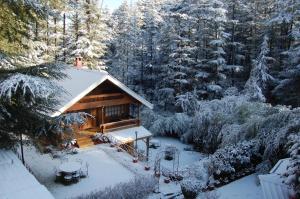 The Chalets Naldehra v zimě