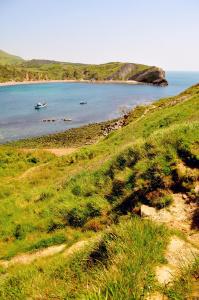 a grassy hill with a boat in a body of water at Lulworth Cove Inn in Lulworth Cove