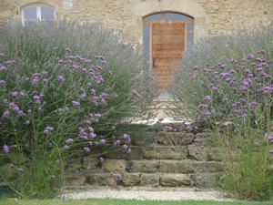 un jardín con flores púrpuras frente a un edificio en Bel-Endroit, en Marciac