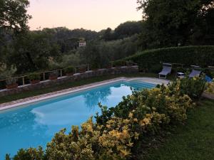Bazén v ubytování Villa Pera nebo v jeho okolí + 23 fotografií