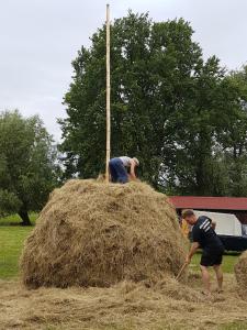 Hosté ubytování Ferienwohnung Zum Heuschober