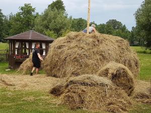 two men are standing around a large pile of hay at Ferienwohnung Zum Heuschober in Burg