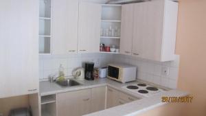 Kuchyň nebo kuchyňský kout v ubytování Apartmany Jachymov