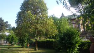 Zahrada ubytování Hotel Le Vigne + 30 fotografií