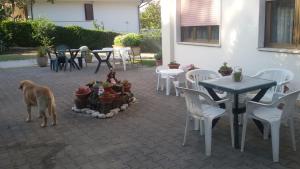 Fotografie z fotogalerie ubytování Hotel Le Vigne v destinaci Contigliano