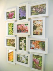 una pared llena de fotos de flores en una pared en Beach House, en Los Cristianos